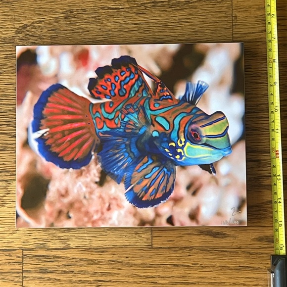 Exotic Tropical Mandarin Gobi Fish Lithography - Picture 3 of 9